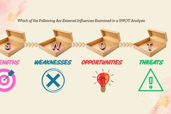 Which of the Following Are External Influences Examined in a SWOT Analysis